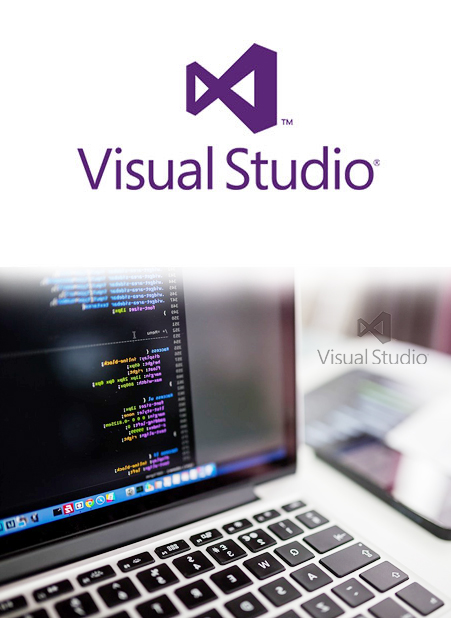 visual studio javascript intellisense formatter